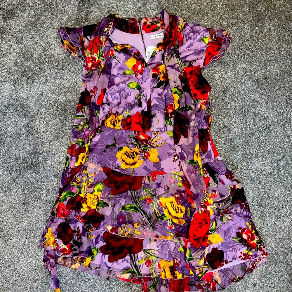 NWT Alice & Olivia Dress
